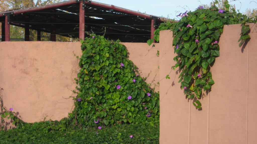 Posada Del Viajero San Rafael Esterno foto